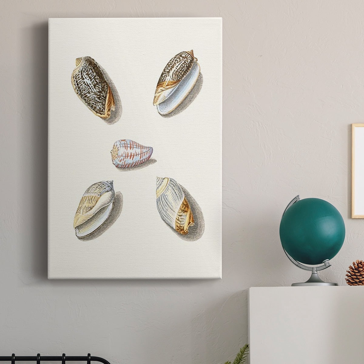 Pastel Knorr Shells III Premium Gallery Wrapped Canvas - Ready to Hang