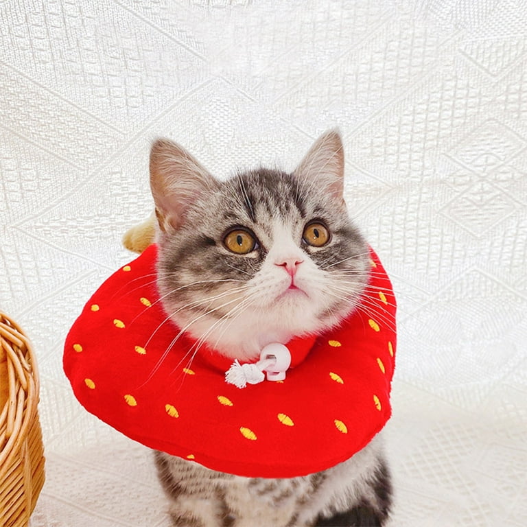 Cat licking sweater hot sale