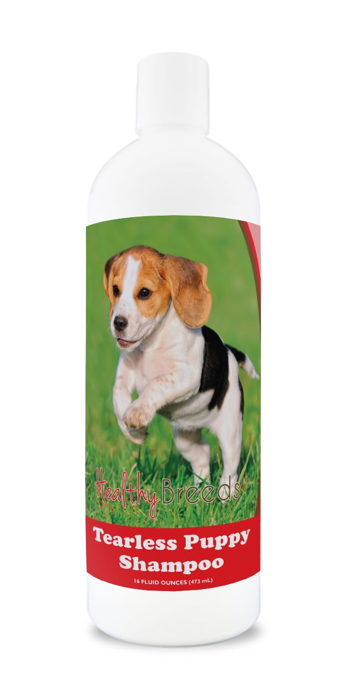 are kerry beagle hypoallergenic