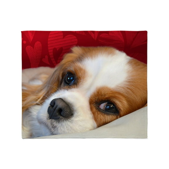 CafePress - Blenheim Cavalier King Charles Spani Throw Blanket - Soft Fleece Throw Blanket, 50"x60" for All Ages