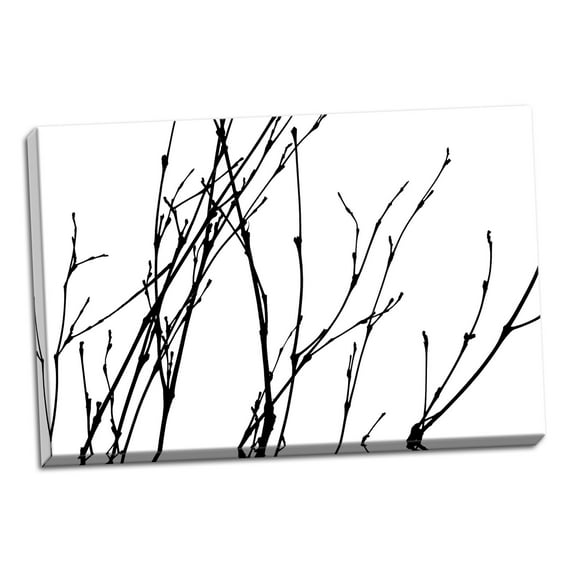Gango Home Decor Dancing Branches I by Monika Burkhart (Ready to Hang); One 36x24in Hand-Stretched Canvas
