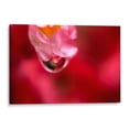 thumbnail image 1 of Cuadro decorativo - Corazón, Mauricio Silerio 120x80 Canvas Lab Botánica, Floral, Naturaleza,, 1 of 2