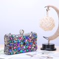 thumbnail image 6 of LinYooLi Multicolor Rhinestone Clutch Purse,Sparkly Crystal Floral Evening Handbags for Women Formal Prom Bridal Wedding Party, 6 of 6
