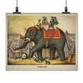 thumbnail image 2 of Print: Performing Elephant, 2 of 4