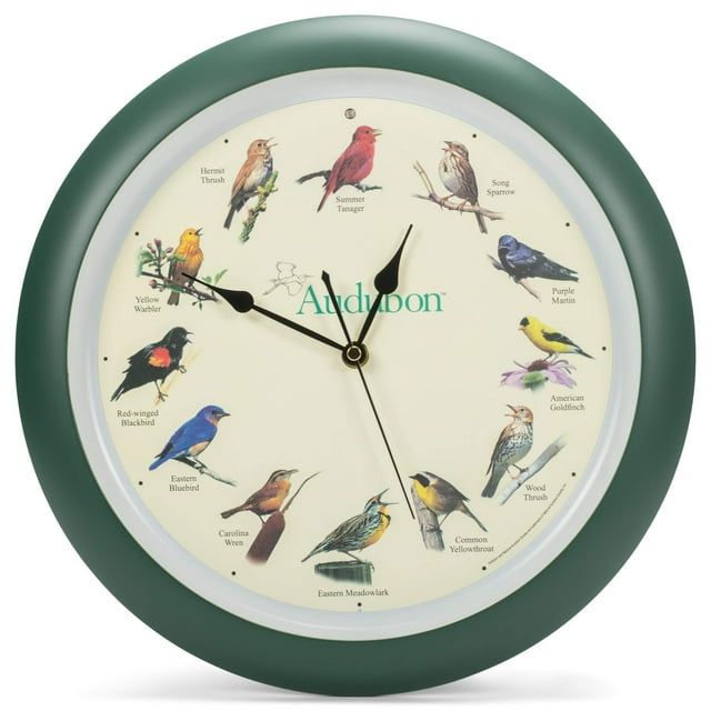 Reloj de pared Mark Feldstein Audubon Singing Bird 33 cm, color verde