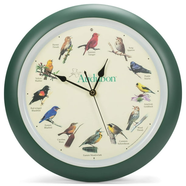 Reloj de pared Mark Feldstein Audubon Singing Bird 33 cm, color verde
