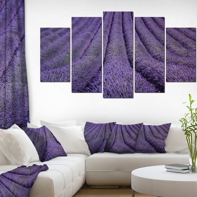 Blooming Lavender Flower Texture