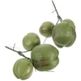 thumbnail image 1 of COMPUKAS Prop Decorativo De Cocos Falsos Para Tropical Y Restaurante, 1 of 7