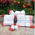 thumbnail image 4 of Jinsinto 50 PCS Fruit Protection Bag Mesh Bag Against Insects Plant Protection Bag with Drawstring Anti-Insect Mesh Bags Insect Bag 20*30cm for Grapes, Apples, Birds, 4 of 5