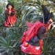 thumbnail image 2 of Muñecas de brujas de Halloween Naiovety 3 unids/set ligeras y realistas, 2 of 6