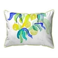 thumbnail image 1 of Betsy Drake SN1112 Coussin Intérieur & Extérieur Petit 11 x 14 Po. Citronnier, 1 of 1