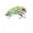 B, variant on MInHoues Floating Crankbait Fishing Lure 2.09", Hard Plastic Imitation Bait for Freshwater Bass and Trout, Topwater Wobbler Tackle for Lake and River Angling