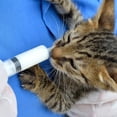 thumbnail image 2 of Juego de 4 jeringas de plástico con medición de líquidos orales Jeringas de medición sin aguja para dispensación de resina epoxi Llenado de riego ER, 2 of 5