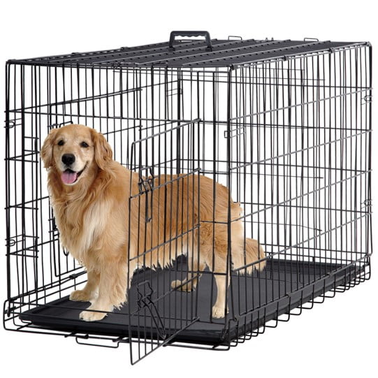 dog keeps chewing on plastic tray in kennel