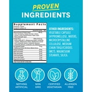 Zenwise Digestive Enzymes with Probiotics and Prebiotics Supplement, Digestive Health, 45 Count