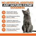 thumbnail image 2 of Cat by Scoochie Sensations Catnip Filled Crunchy Cat Treats, 1CT, 2 of 6