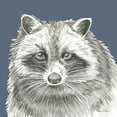 thumbnail image 3 of Wilson, Kelsey 15x15 Black Modern Framed Museum Art Print Titled - Watercolor Pencil Forest color VI-Raccoon, 3 of 5