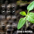 thumbnail image 3 of Plant Based Protein Powder Chocolate - Lactose & Dairy Free Protein Powder - Vegan Protein Shake Meal Replacement with Fava, Mung, Rice & Pea Protein, Low Carb, Keto, Sugar & Gluten Free, 21g, 3 of 10