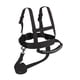 thumbnail image 1 of Arnés de seguridad para esquiar Yuarrent para niños correas ajustables color negro, 1 of 6