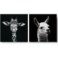 thumbnail image 3 of PixonSign Canvas Print Wall Art High Contrast Giraffe & Llama Close-Up Animals Wildlife Photography Realism Romantics Dramatic Dark Black and White for Living Room, Bedroom, Office - 24"x24" x 2, 3 of 5
