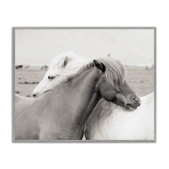 Stupell Industries Farmhouse Wild Country Horses Resting Animal Hug Monochromatic Photograph Gray Framed Giclee Art, 20 x 16, by Danita Delimont
