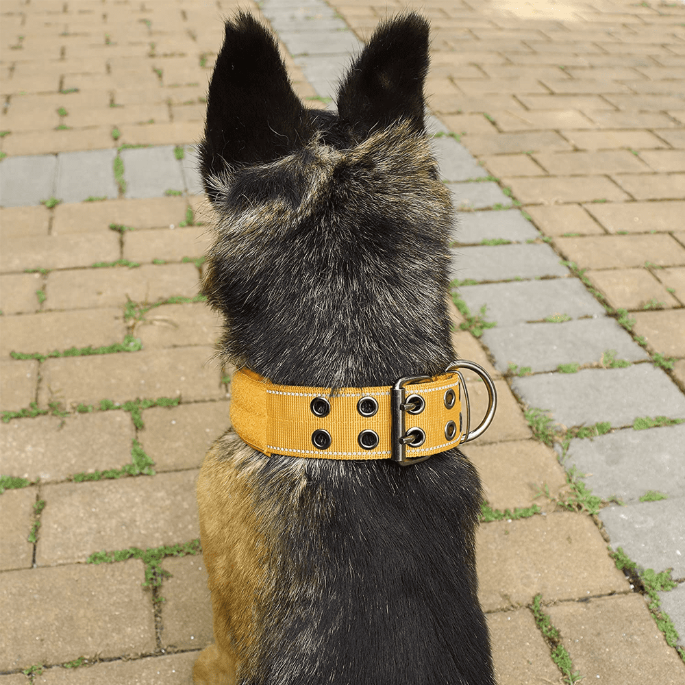 Tactical Dog Collar Reflective Nylon Dog Collar with Metal Buckle and Control Handle for Medium