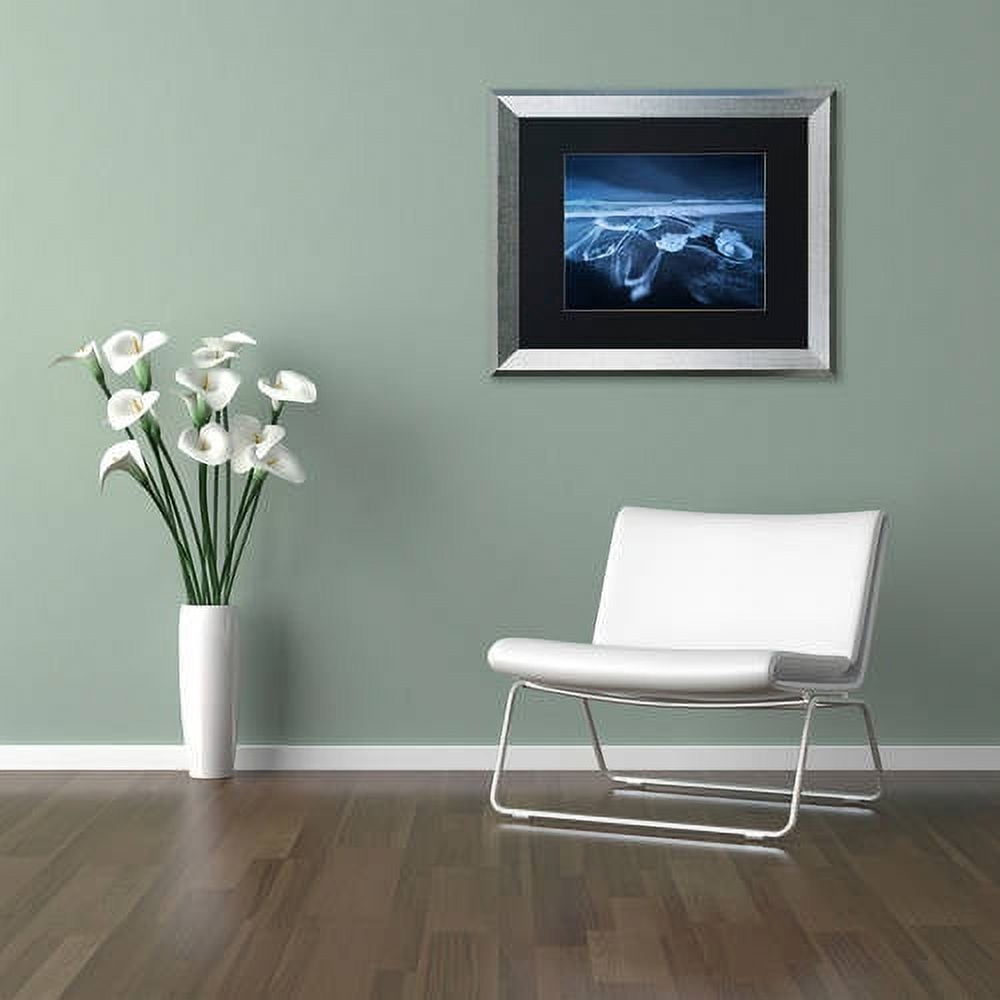 Trademark Fine Art "The Ice Age" Canvas Art by Mathieu Rivrin, Black Matte, Silver Frame