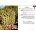 thumbnail image 5 of Cactus of Arizona Field Guide, 5 of 7