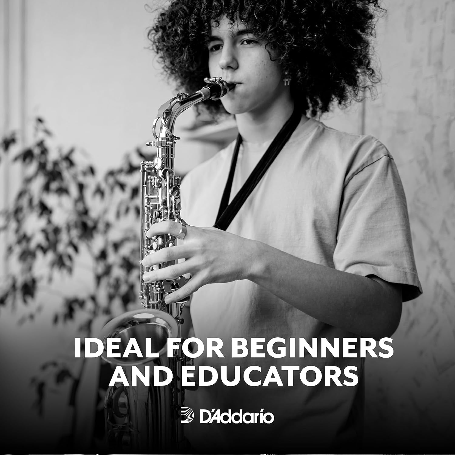 Rico by D'Addario Alto Saxophone Reeds 3.0, 25-Count Single Reeds