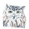 thumbnail image 3 of Vess, June Erica 12x14 Black Modern Framed Museum Art Print Titled - Funky Owl Portrait III, 3 of 5