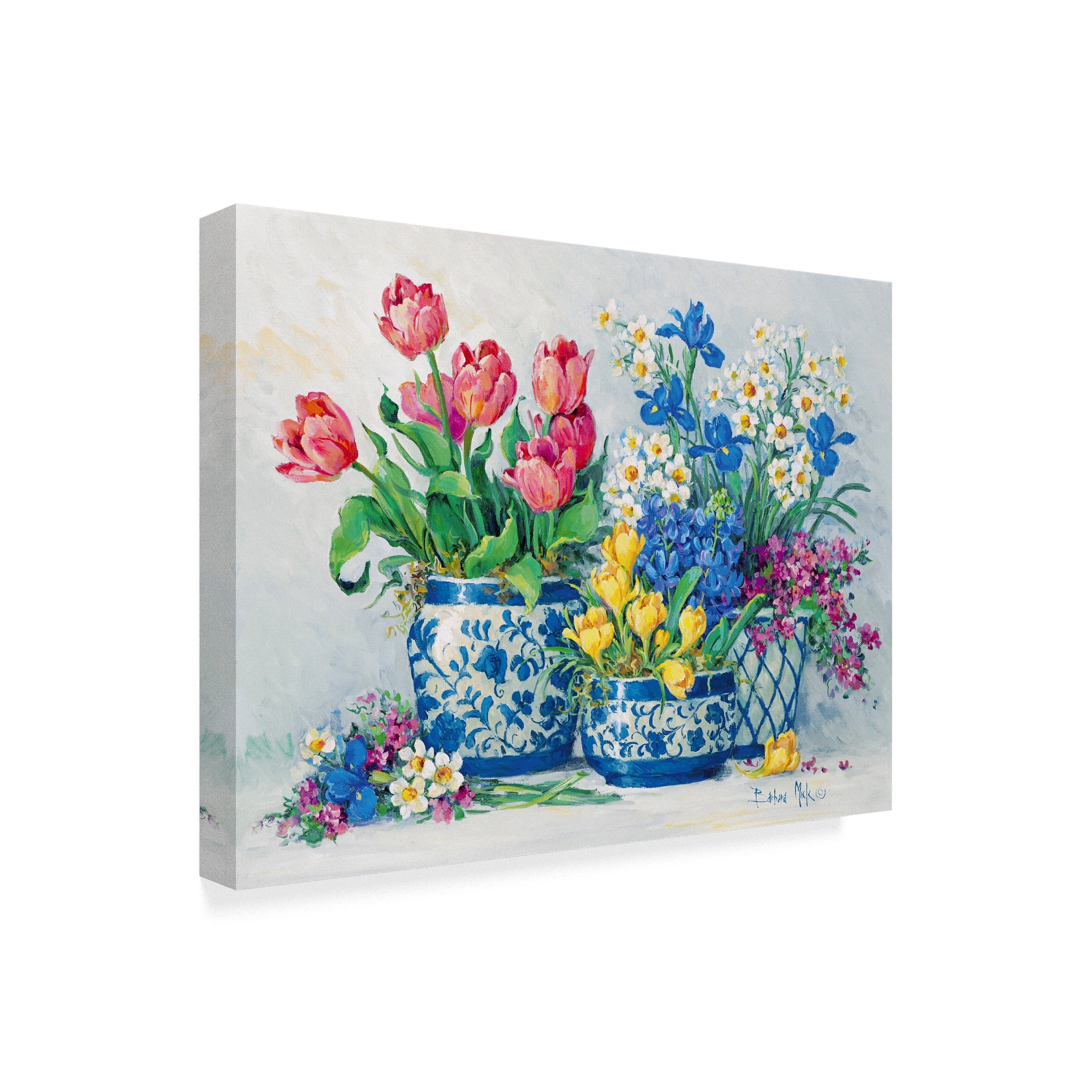 Trademark Fine Art ' Spring Garden in Blue' Canvas Art by Barbara Mock