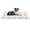 Dog Bones, variant on PETMAKER 46.5”x24” Large PVC Dog Mat for Food and Water, Crate Pad, and Floor Protector (Dog Bones)
