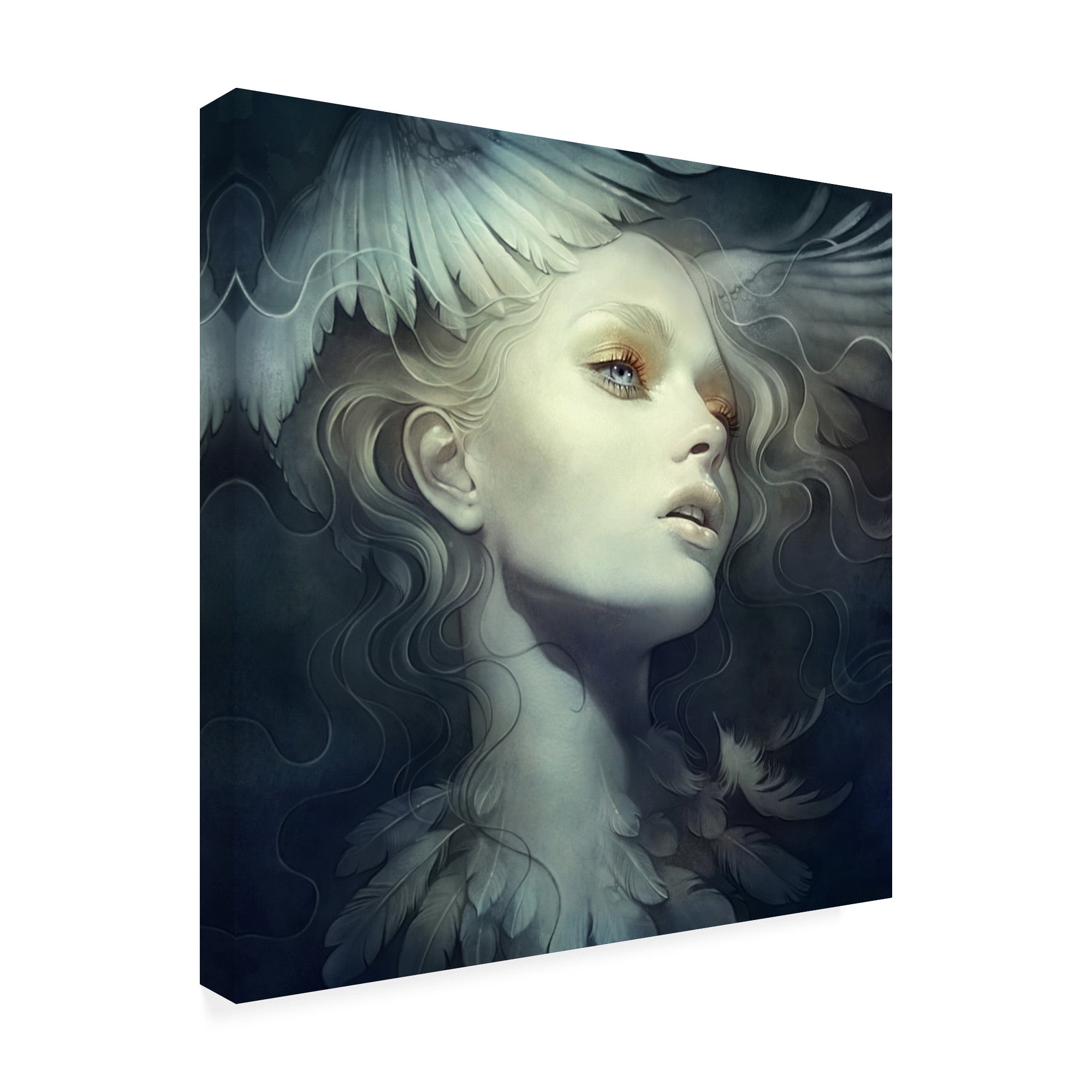 Trademark Fine Art 'Fly Wings' Canvas Art by Anna Dittma