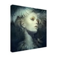 thumbnail image 2 of Trademark Fine Art 'Fly Wings' Canvas Art by Anna Dittma, 2 of 3