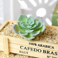 thumbnail image 4 of Coofit Artificial Succulent Lovely Lifelike Lotus Flocking Faux Plant Fake Succulent, 4 of 6