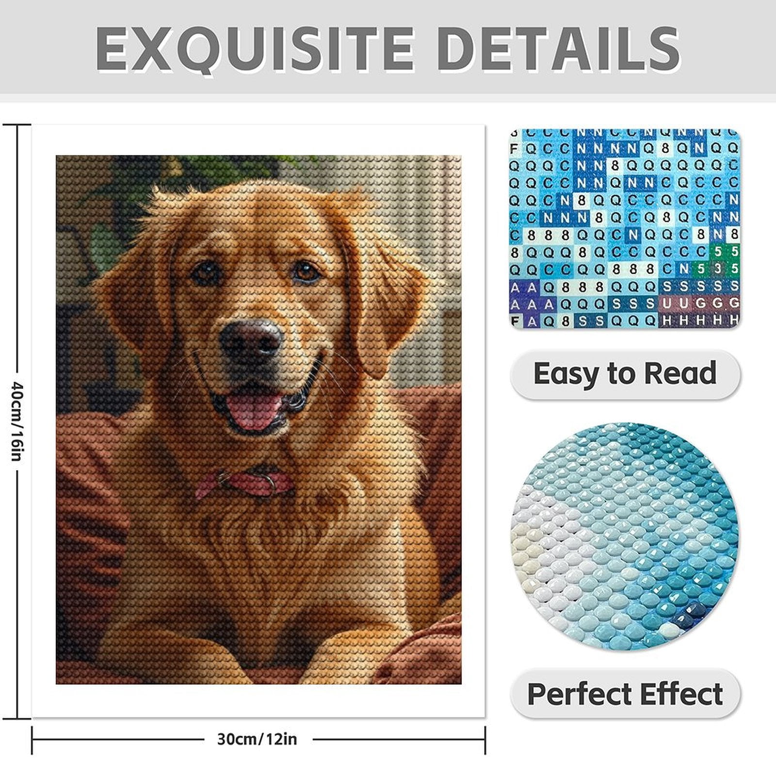 Diamond Art Kits for Adults - 5d Golden Retriever Cozy Chair Diamond Painting for Adults, Diamond Art for Adults Beginners, Diamond Painting Kits for Adults for Home Wall Decor