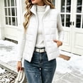thumbnail image 6 of Casual Quilted Vest for Women Stand Collar Zip Front Regular Fit Spring Fall Vest, 6 of 8