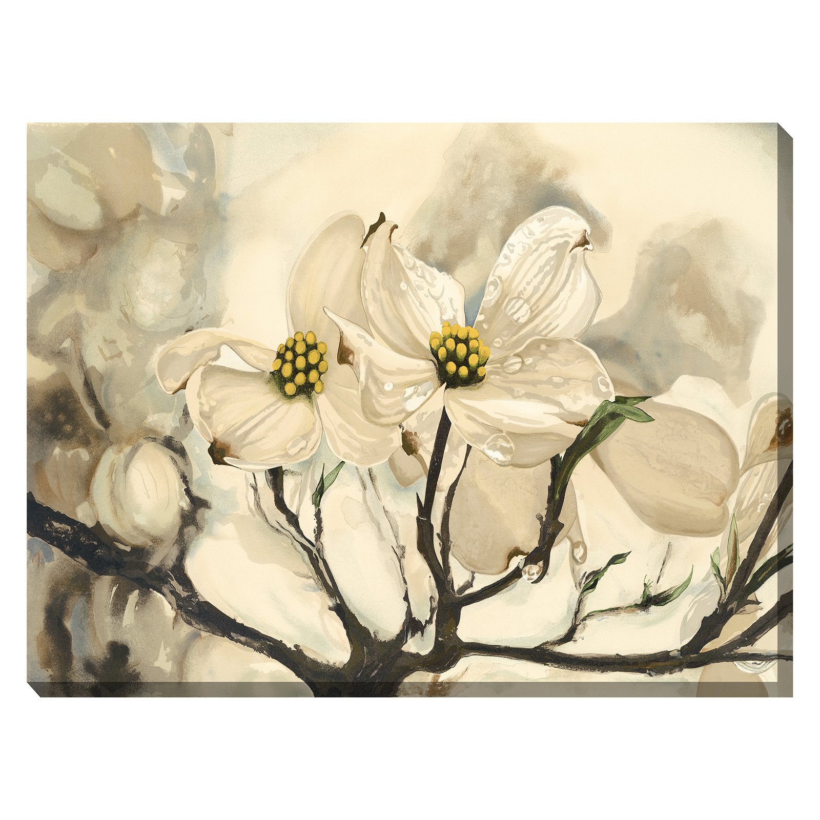 West of the Wind Dogwood Watercolor Outdoor Canvas Wall Art