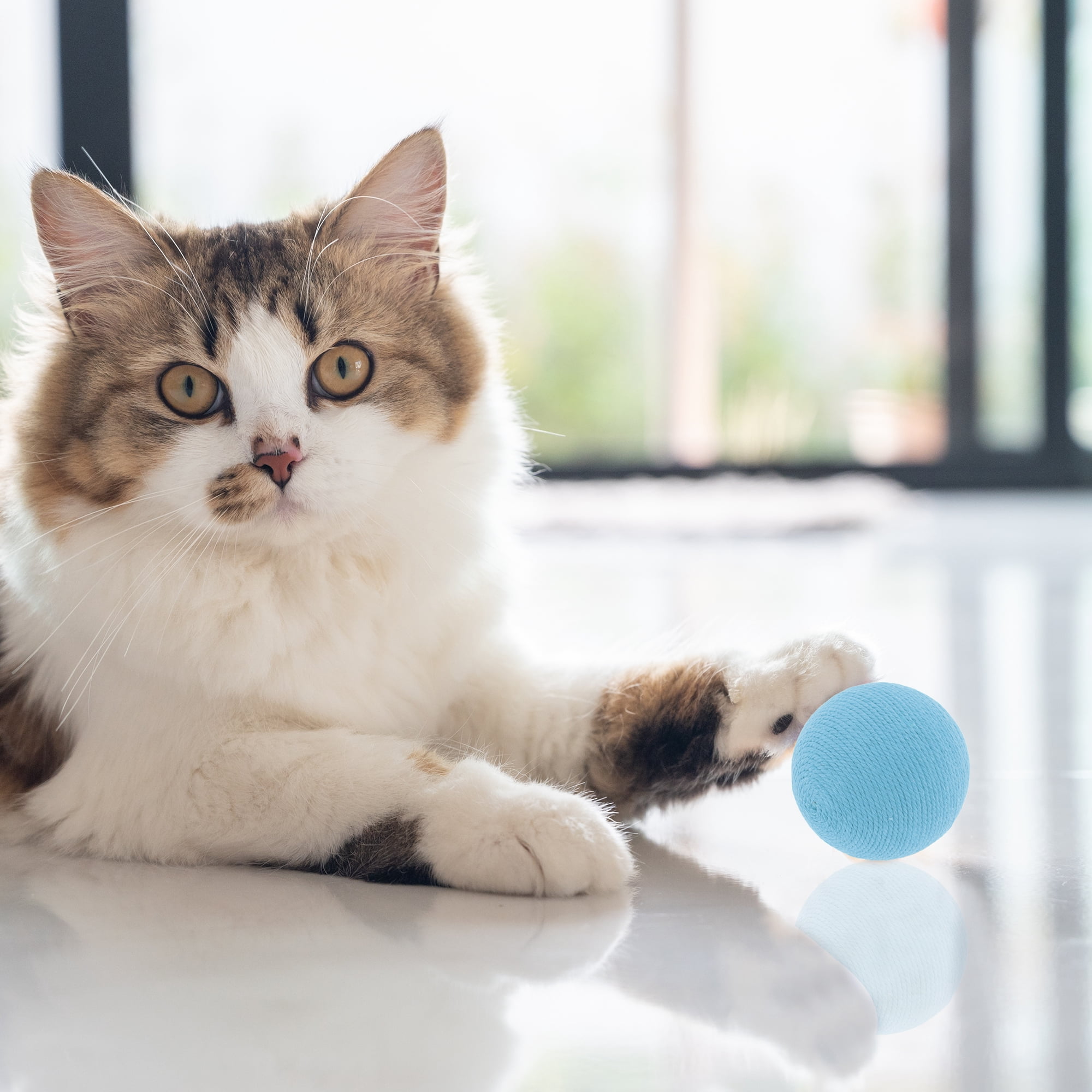 Unique Bargains Playing Ball with Bell for Cat Playtime Blue