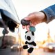 thumbnail image 5 of 2 unids adorable panda muñeca llaveros colgando ornamentos de panda Colgante de peluche para la bolsa, 5 of 6