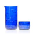thumbnail image 1 of Set de jarra y minisorbo Rolf Glass School of Fish Blue, 1 of 9