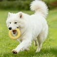 thumbnail image 4 of YaoZQ Durable TPR Dog Chew Toy Ring for Puppies and Medium Dogs, Spiky Teeth Cleaning Molar Circle, Interactive Fetch Training Toy for Boredom Relief, Yellow, 5.5 in, 4 of 4