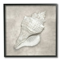 Stupell Industries Rustic Grey Conch Shell Nature Painting Black Framed Art Print Wall Art, 24 x 24