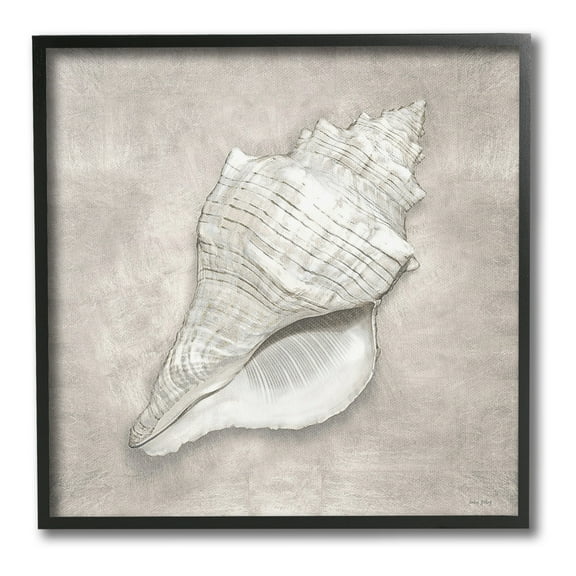 Stupell Industries Rustic Grey Conch Shell Nature Painting Black Framed Art Print Wall Art, 24 x 24