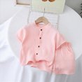 thumbnail image 2 of HCNTES Toddler Baby Boy Birthday Outfit Graphic Animals Embroidery Short Sleeve T-Shirt and Gingham Plaid Shorts Set(Pink,3-4 Years), 2 of 3