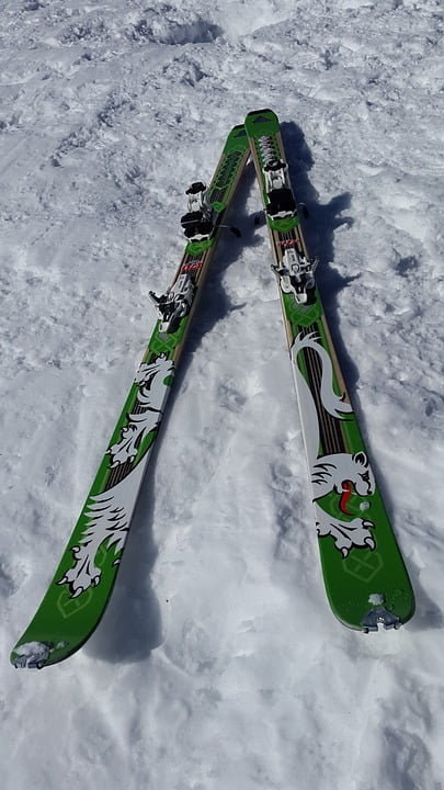 Dynafit Sticker/decal Skiing 