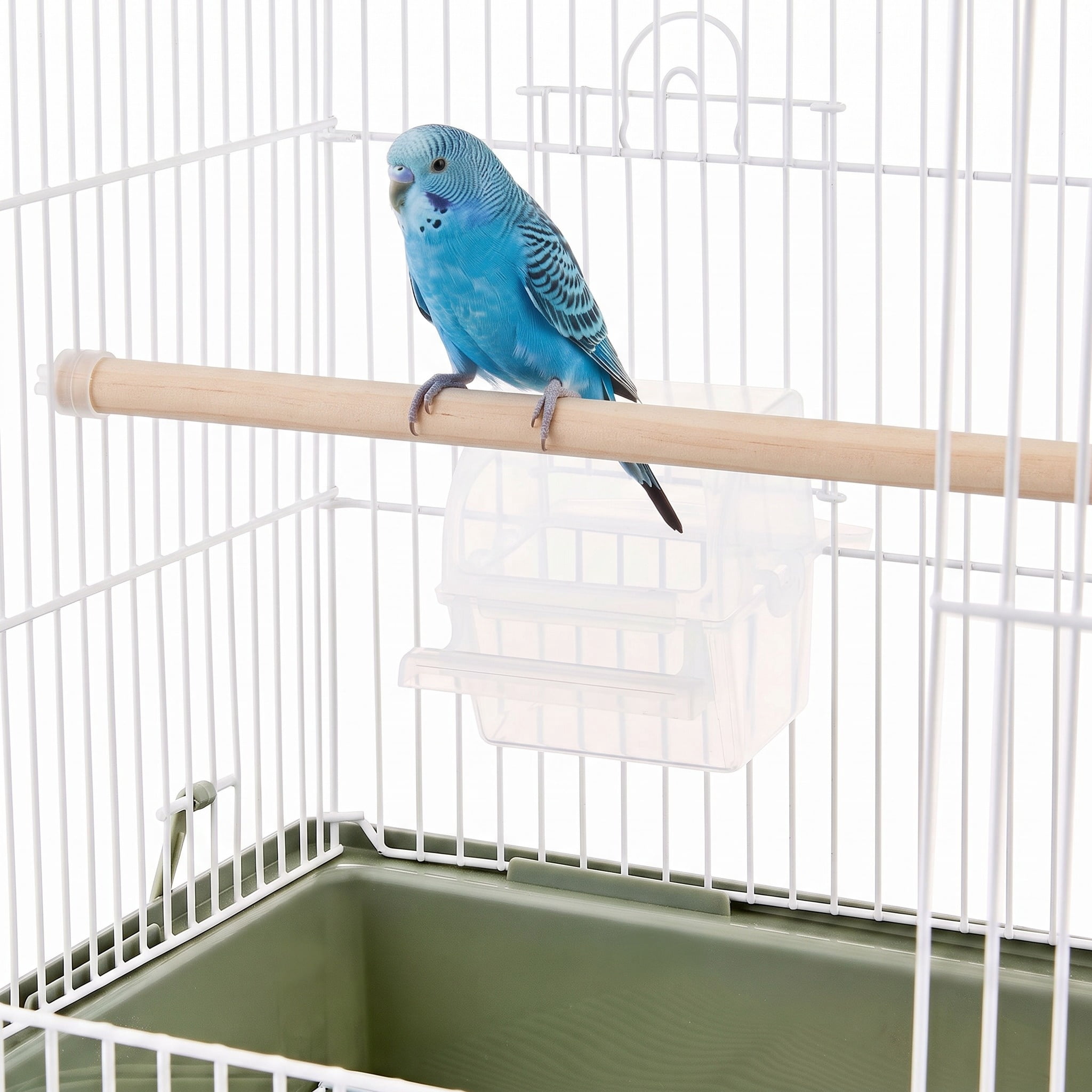 Vibrant Life 2 Pack Wood & Textured Bird Perches, 8"