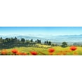 thumbnail image 2 of Noah Jigsaw Puzzle Beautiful landscape with plums. Chianti Tuscany Italy panorama 1000 pieces, 2 of 2