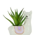 thumbnail image 4 of Anko Llama Succulent, 4 of 6