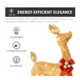 thumbnail image 3 of Jingle Joy 5FT Lighted Outdoor Christmas Deer Set – 3-Piece LED Reindeer Family with Twinkling Lights, Weather-Resistant Yard Decor with Stakes - Gold, 3 of 8
